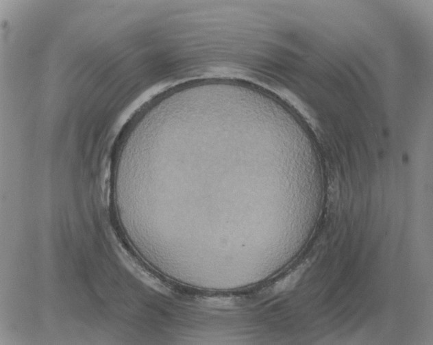 X0000084021126200703022050