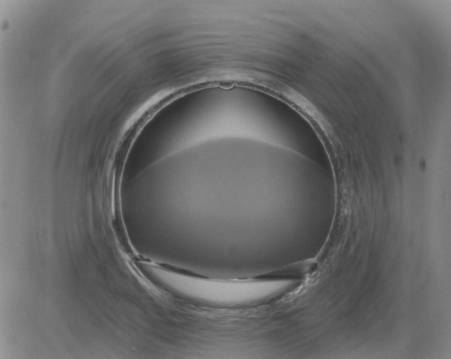 X0000084021127200703022050