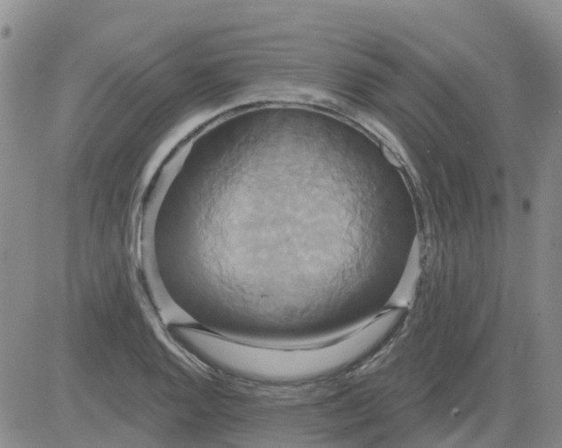 X0000084021128200703022050