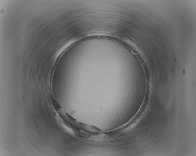 X0000084021129200703022050