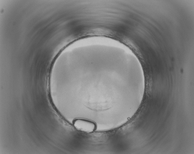 X0000084021130200703022050