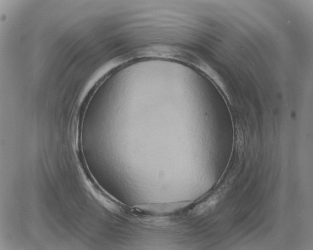 X0000084021131200703022050