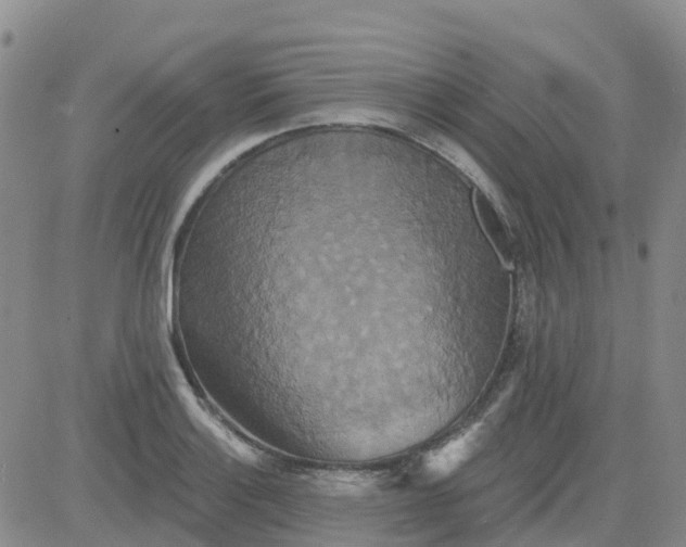 X0000084021132200703022050