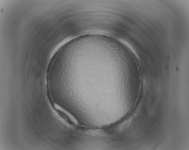 X0000084021133200703022050