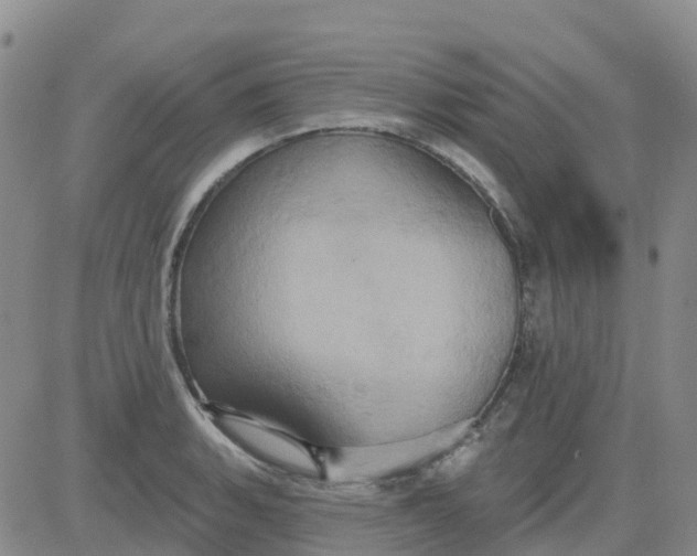 X0000084021135200703022050