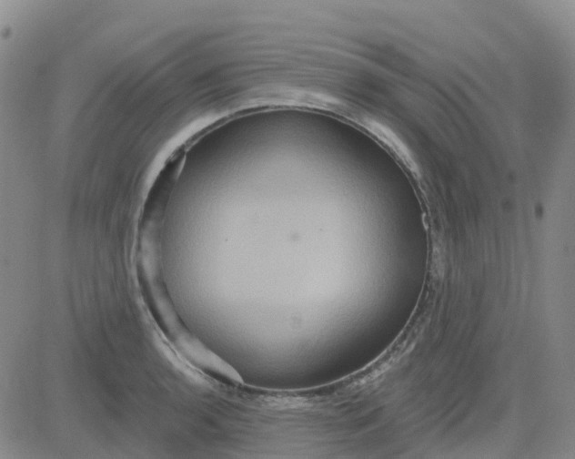 X0000084021136200703022050