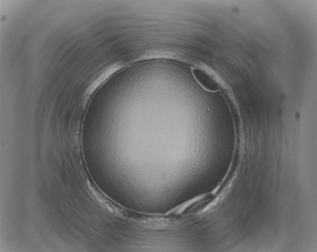 X0000084021137200703022050