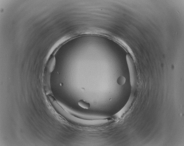 X0000084021138200703022050