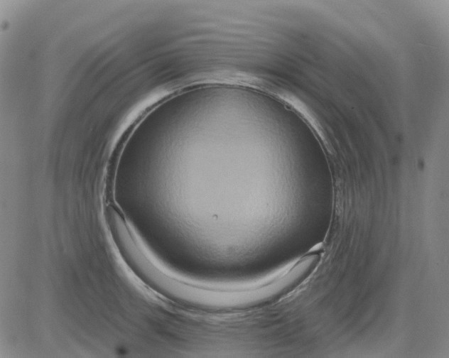 X0000084021139200703022050