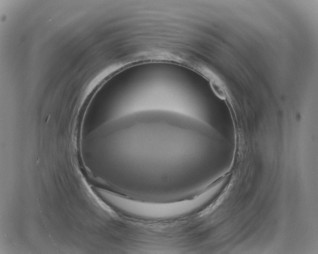 X0000084021141200703022050