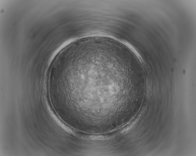 X0000084021142200703022050