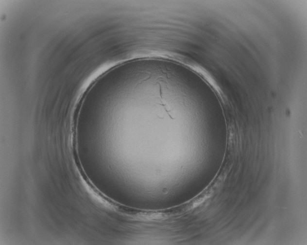 X0000084021143200703022050