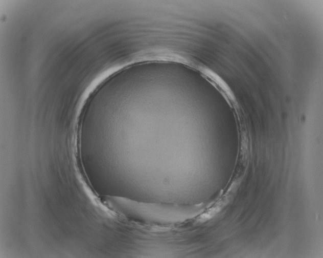 X0000084021144200703022050