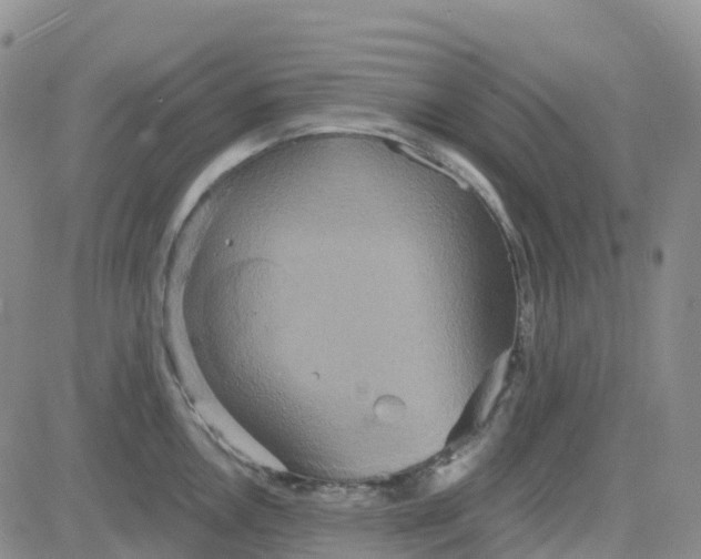 X0000084021146200703022050