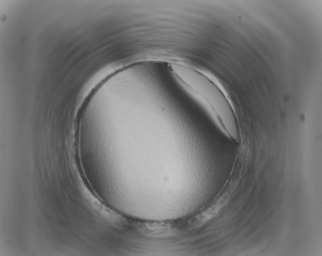 X0000084021147200703022050