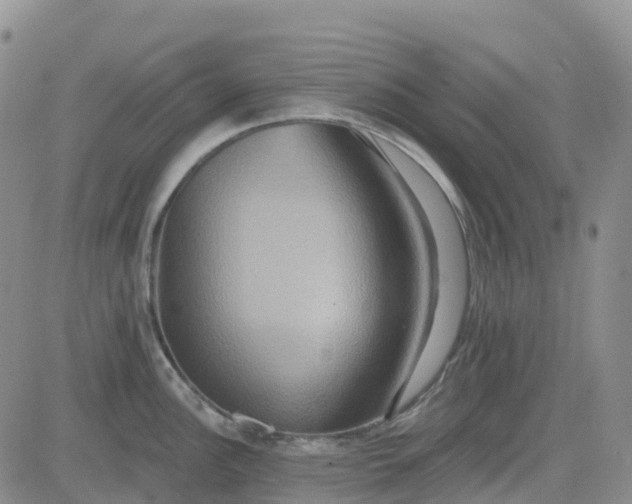 X0000084021148200703022050