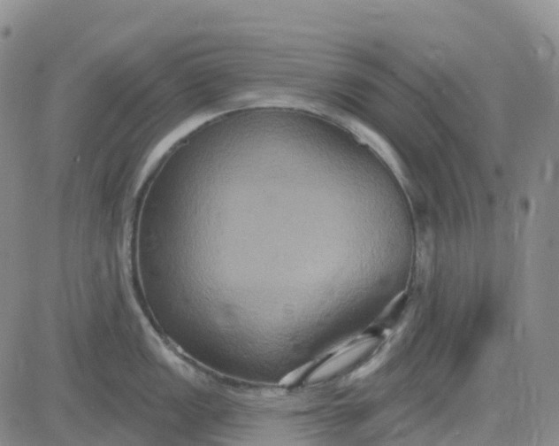 X0000084021149200703022050