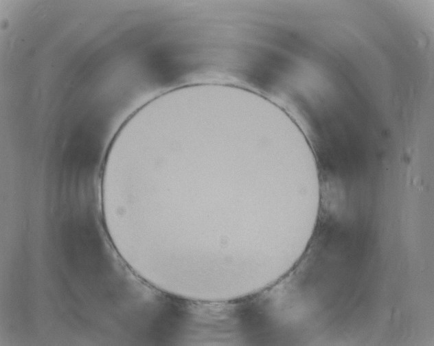 X0000084021150200703022050