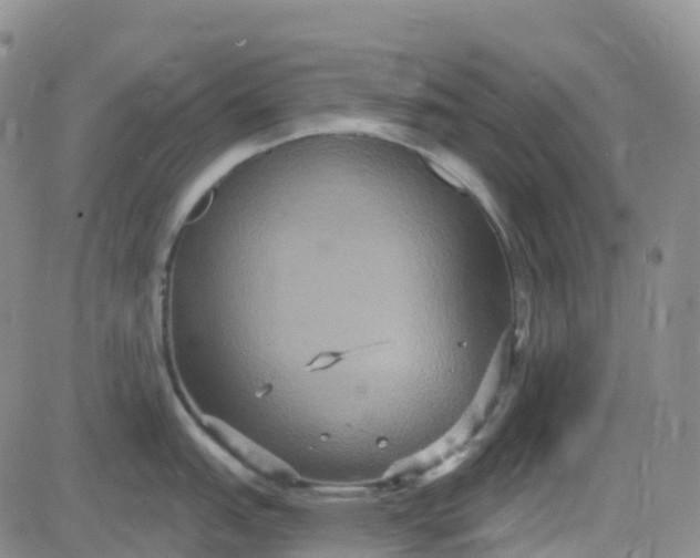 X0000084021151200703022050