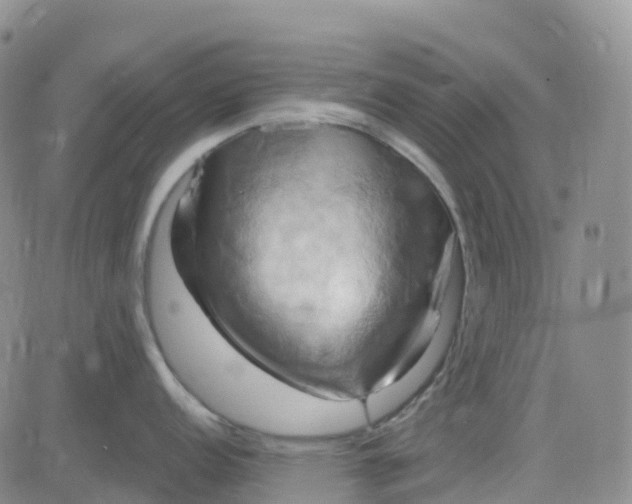 X0000084021152200703022050