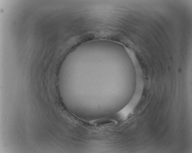 X0000084021153200703022050