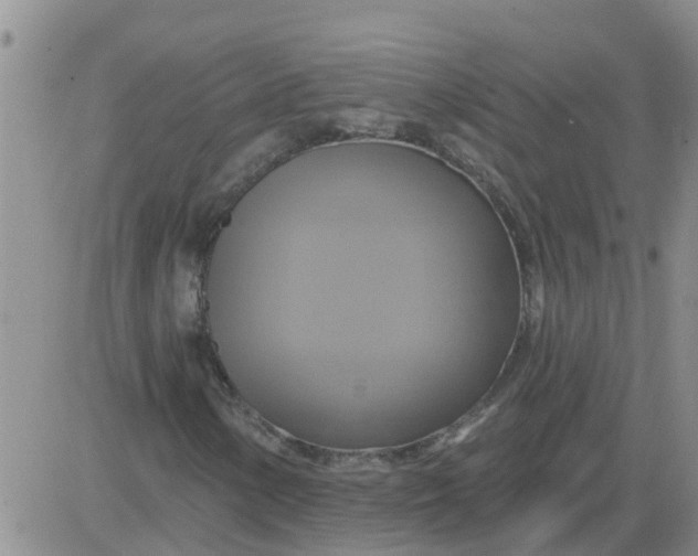 X0000084021154200703022050