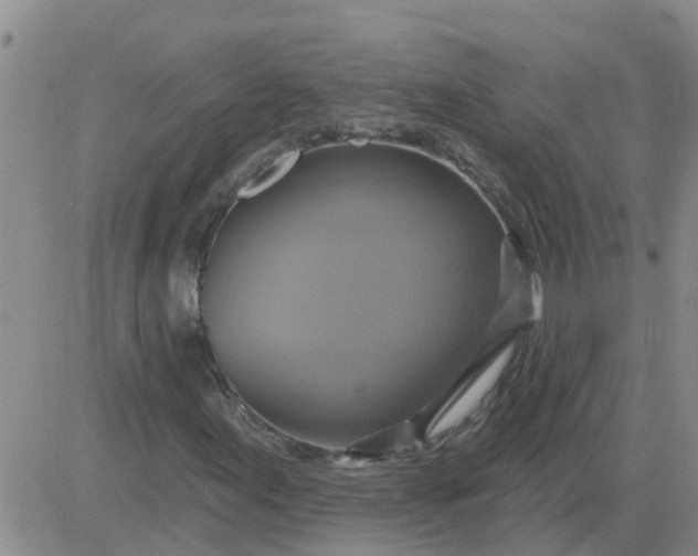 X0000084021155200703022049