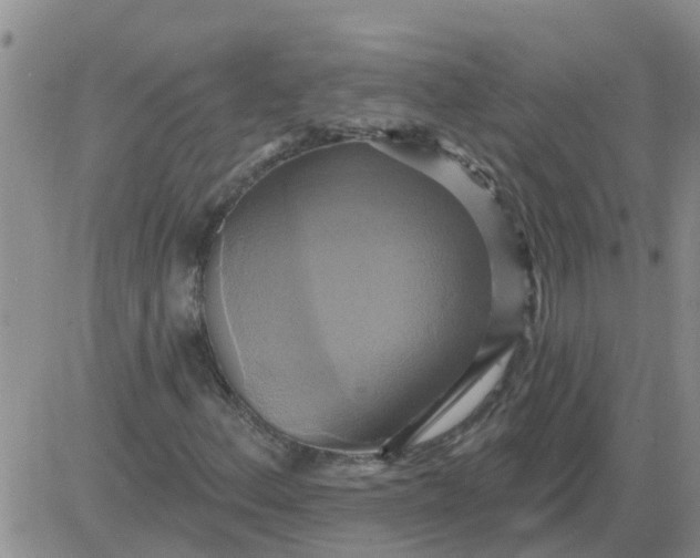 X0000084021156200703022049