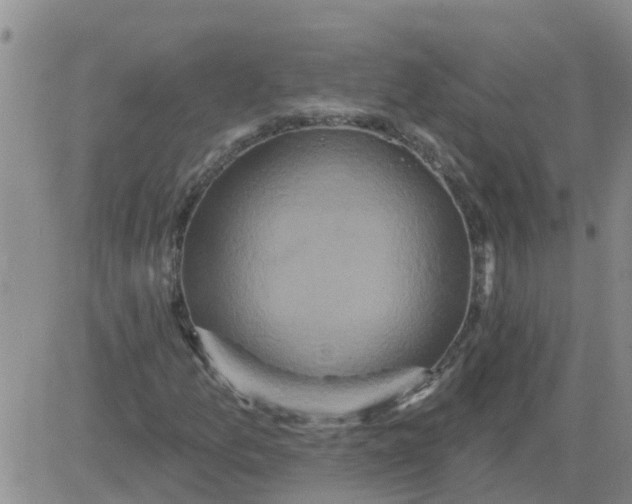 X0000084021157200703022049