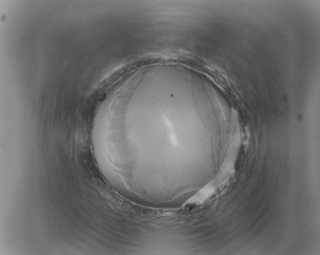 X0000084021158200703022049