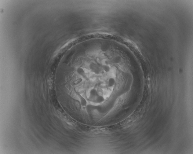 X0000084021159200703022049