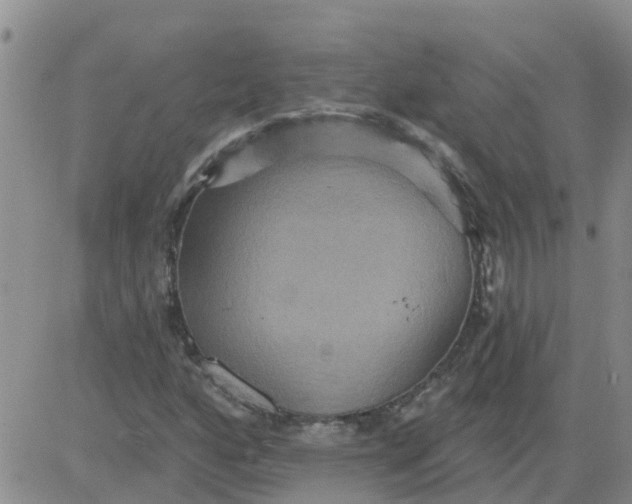 X0000084021160200703022049