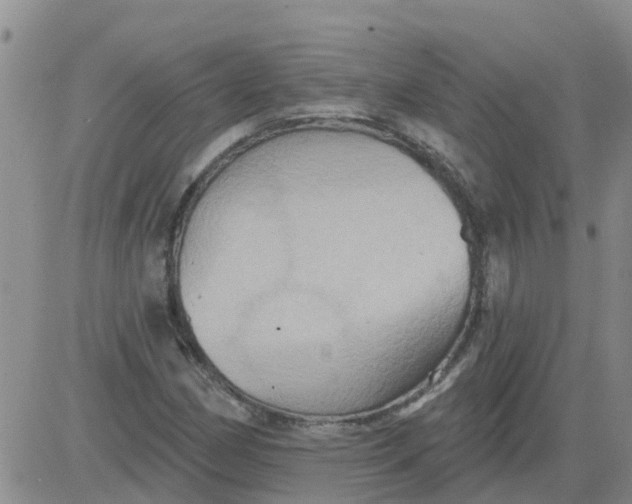 X0000084021162200703022049