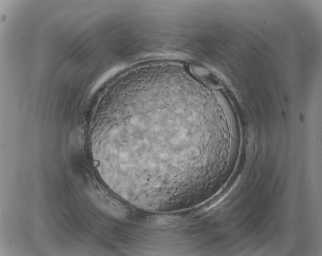 X0000084021163200703022049