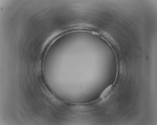 X0000084021164200703022049