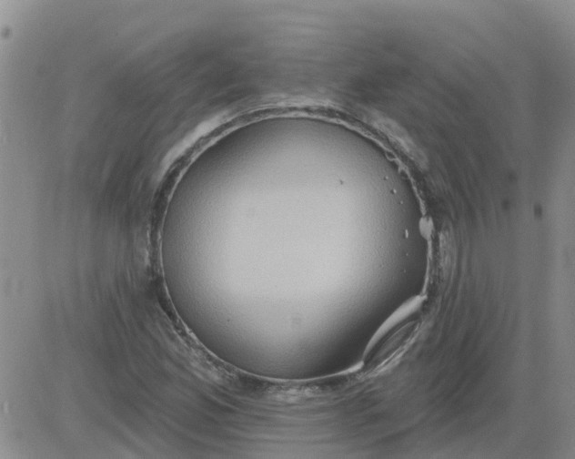 X0000084021165200703022049