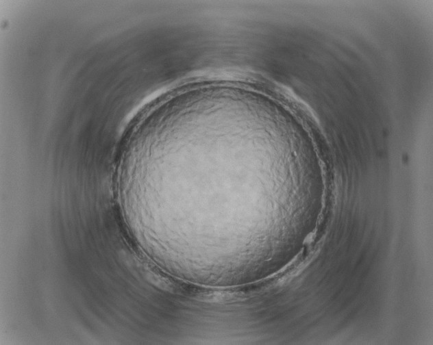 X0000084021166200703022049