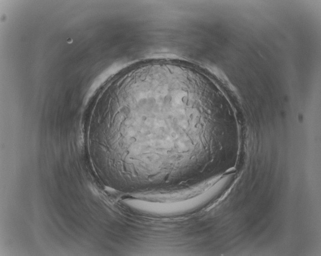 X0000084021167200703022049