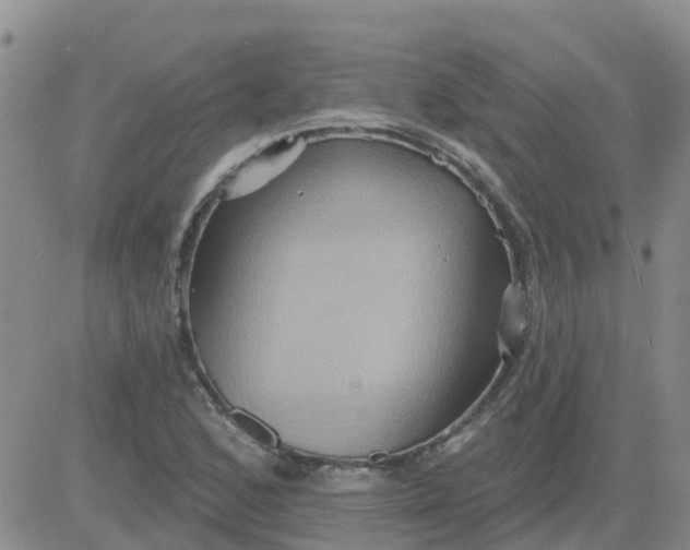 X0000084021168200703022049