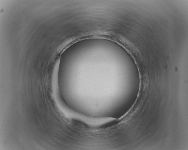 X0000084021169200703022049