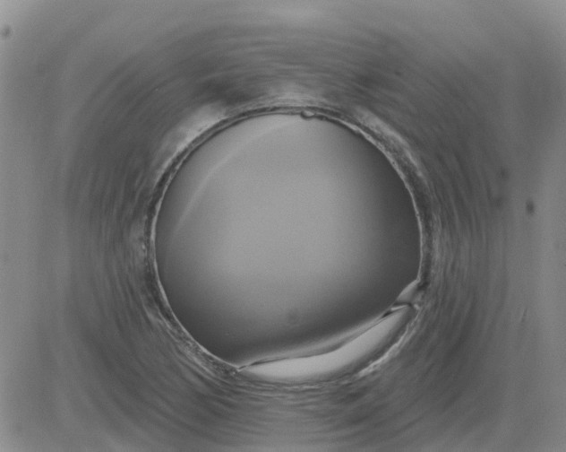 X0000084021170200703022049