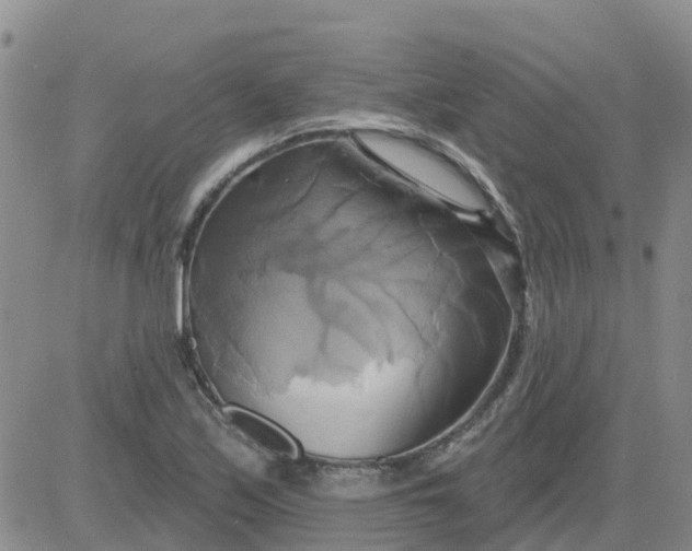 X0000084021171200703022049