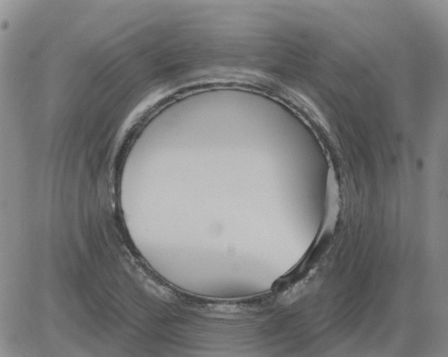 X0000084021172200703022049