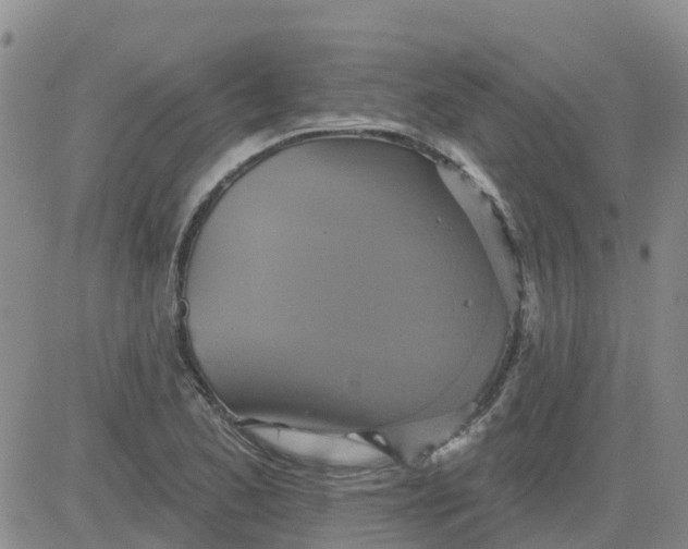 X0000084021173200703022049