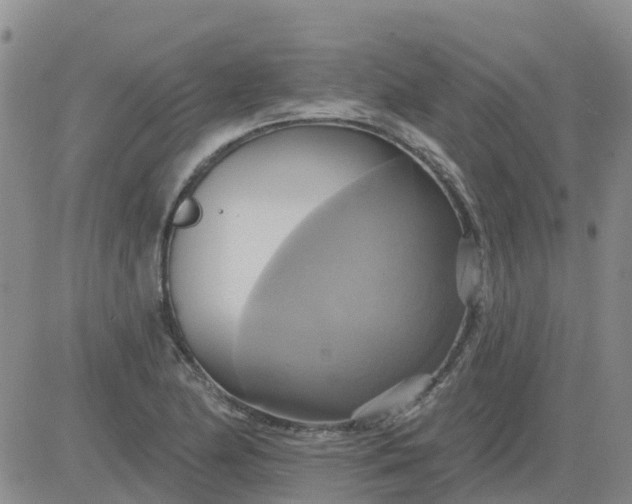 X0000084021174200703022049