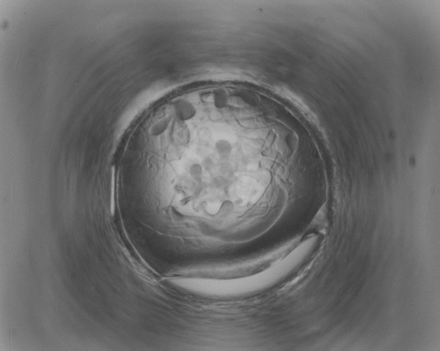 X0000084021175200703022049