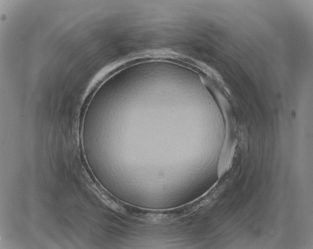 X0000084021176200703022049