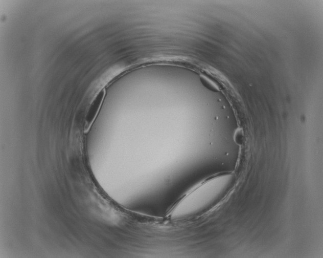 X0000084021177200703022049