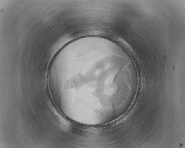 X0000084021178200703022049