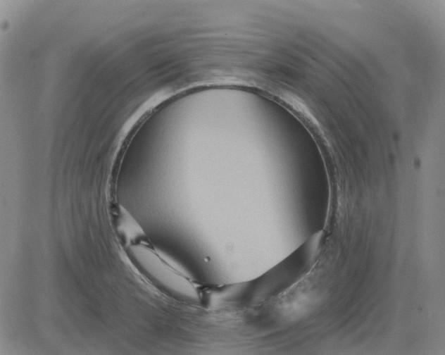 X0000084021181200703022049